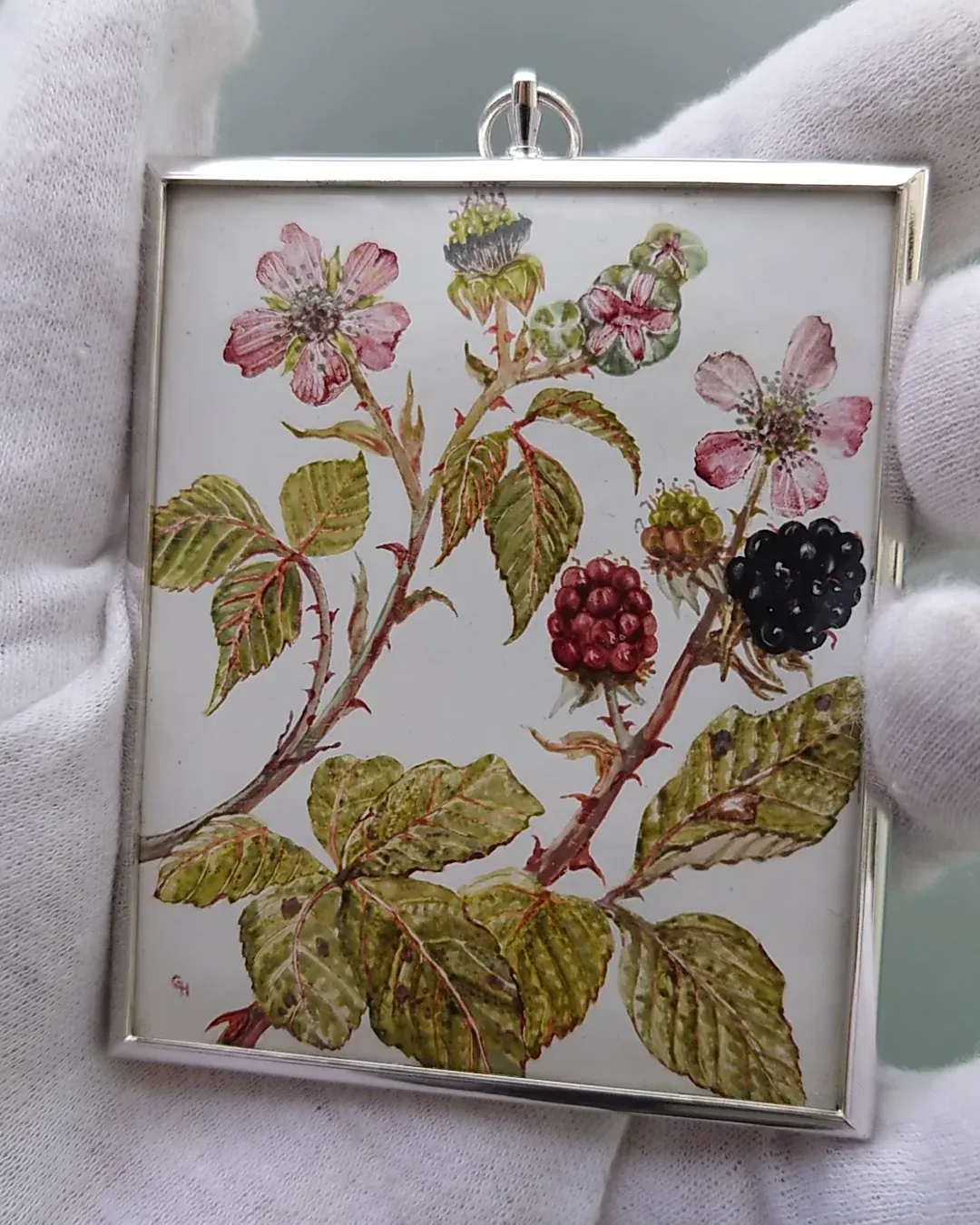 Blackberries