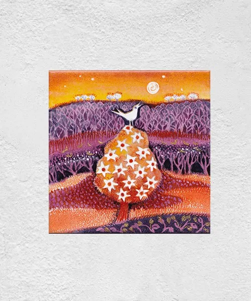 Morning Aria — Pre-enameled steel